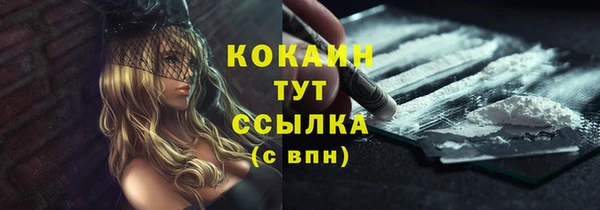 тгк Аркадак