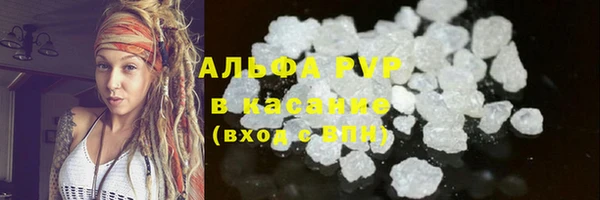молекула духа Арсеньев