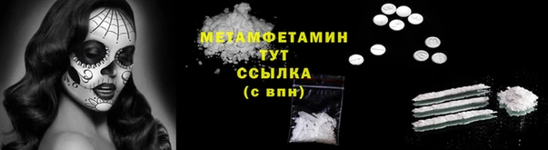 молекула духа Арсеньев