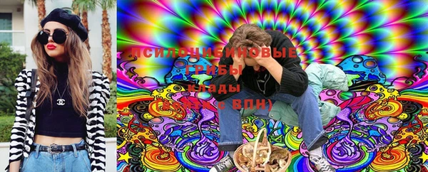 молекула духа Арсеньев