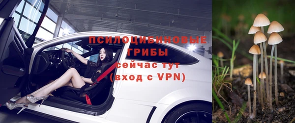 тгк Аркадак