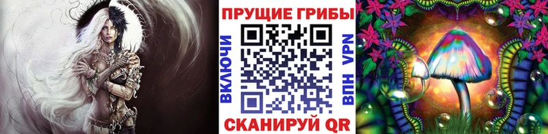 где найти наркотики Аркадак Галлюциногенные грибы прущие грибы